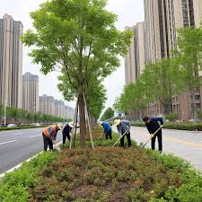 如皋市政绿化工程招标资质要求