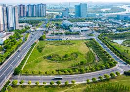 天门园林绿化苗木价格市场价怎么询价